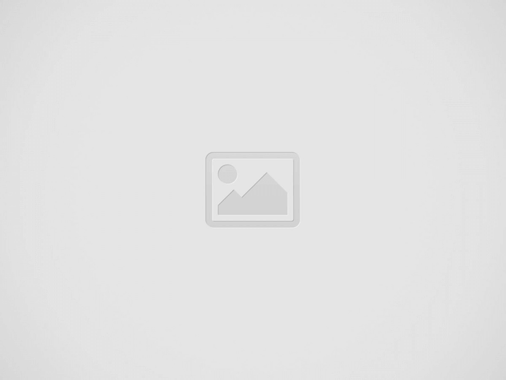buy a used car | data documents